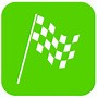 Image result for Checkered Stick Flags