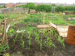 Image result for 25 Square Meters Allotment Rod