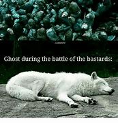 Image result for Game of Thrones Ghost Meme