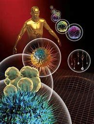 Image result for Science Human Body