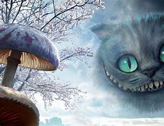 Image result for Cheshire Cat Aesthetic Wallpaper