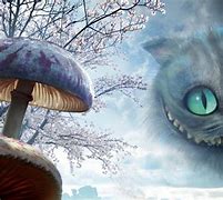 Image result for Cheshire Cat Background