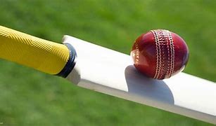 Image result for Cricket Pictures for Free