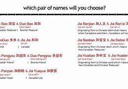 Image result for Cute Panda Names