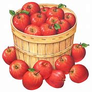 Image result for Apple Basket Painting