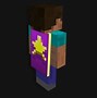 Image result for Minecon Capes