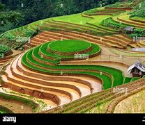 Image result for Vietnam Terraces