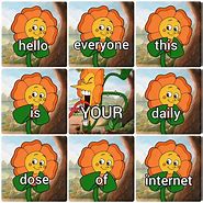Image result for Daily Dose of Internet Memes