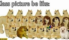 Image result for School Memes Doge