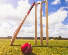 Image result for Cricket Ball Game