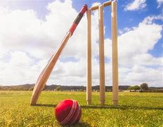 Image result for Cricket Ball Game