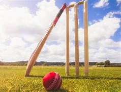 Image result for Cricket Ball in Ground