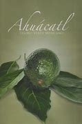 Image result for aguacatzl