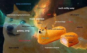 Image result for Doge Wallpaper Follow Your Dreams