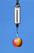 Image result for 1 Newton Apple