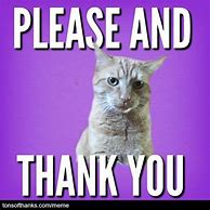 Image result for Congratulations Cat Meme