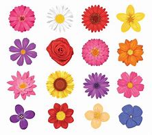 Image result for Flores Para Imprimir