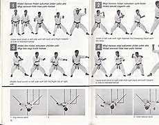 Image result for Karate Moves for Cordination