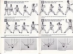 Image result for Basic Karate Moves Kata