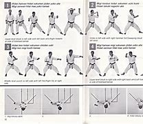 Image result for Karate Movements
