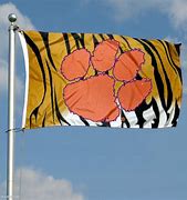 Image result for Clemson Tiger Stripes