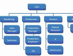 Image result for Quality Assurance Organizational Chart