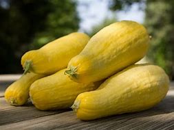 Image result for Yellow Winter Squash Round