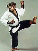 Image result for Chimpanzee in a Karate Outfit