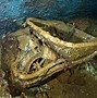 Image result for Shipwreck Bodies Found