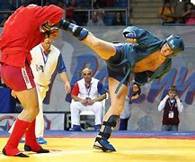 Image result for Sambo Fighting Style