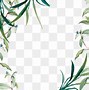 Image result for Eucalyptus Leaves Clip Art
