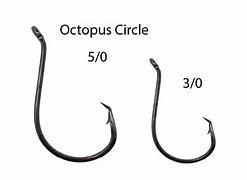 Image result for Circle Hook Size Chart Actual