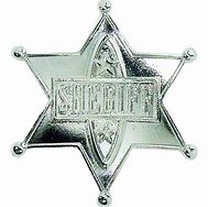 Image result for sherriff badge