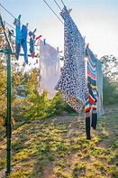 Image result for Potrait Hanging Clothes