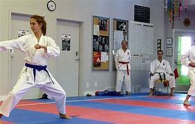 Image result for Shotokan Karate Women