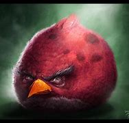 Image result for Fat Angry Bird Meme