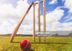 Image result for Cricket Bat and Ball and Stumps Action Pic