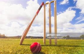 Image result for Real Cricket Bat and Ball