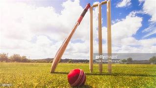 Image result for Cricket Bat Ball and Wickets