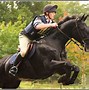 Image result for Black Horse Show Jumping