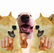 Image result for Doge Meme Template Generator