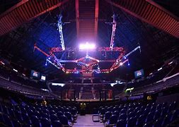 Image result for Deadliest MMA