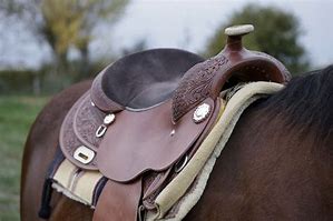 Image result for Italian Horse Saddle