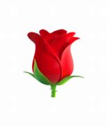Image result for Rose iPhone Emoji
