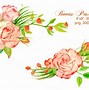 Image result for Peach Rose Clip Art