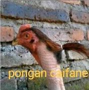 Image result for Pongan Caifanes Meme