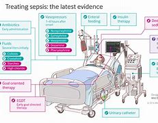 Image result for Sepsis Cure