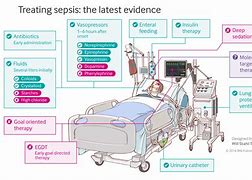 Image result for UTI Sepsis