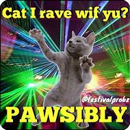 Image result for Funny Rave