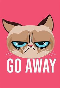 Image result for Grumpy Cat Meme Cartoon